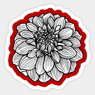 DAHLIA 01, big single flower, hand-drawn Sticker